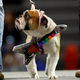 Charlie Neibergall/AP
